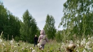 Избавься от лени