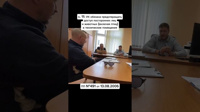 ГЖИ: должны ли голуби жить на чердаке?