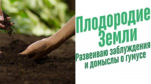 Что такое гумус?