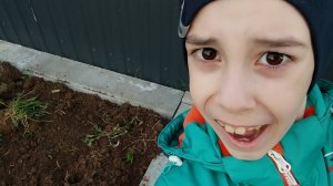 Делаем ЛАНДШАФТНЫЙ ДИЗАЙН! **Только это делает ПАПА**