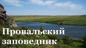 В Провальской степи начал цвести ковыль