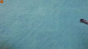 Wow, 2 world famous secret knots!Trailer knot