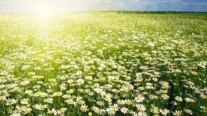 29 мая.Народный календарь для малышей ✨