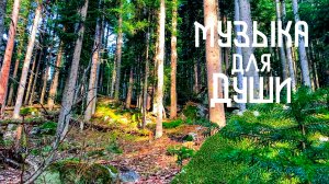 Зайди в Лес / Этническая Музыка Души и Звуки Природы