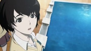Эхо Террора /Zankyou no Terror/Terror in Resonance