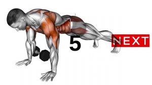 Full Body Dumbbell Workout at Home_v720P (Youtube_Duplicated)