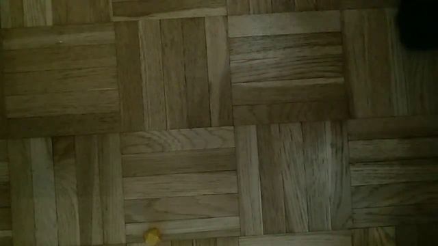 учусь играть в конгинори♥️🗣️мои нервы говорят мне ? смотреть онлайн