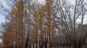 Моя жена не твоя рабыня! - сказал сын, и мать чуть не выр