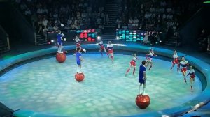 Цирковая студия Ника