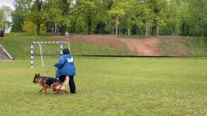 3 Отл. CIRTSEYA Lichtenstein-Ost +++ №81 / КЧК+ БОРИСОВ (BY) 17 мая`25 M.Jovovic Моно нем.овч.