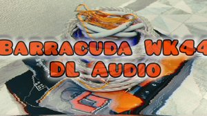 Barracuda WK 44 от DL Audio установочный набор для усилителя #dl_audio #обзор #barracuda