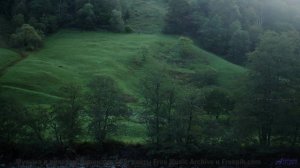 Эти леса под эту музыку - восторг - Sitting-Fog -- Ketsa -- The New World