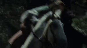 Властелин колец  Погоня