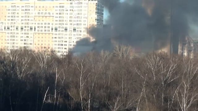 г. Москва. Пожар в Березовой роще. ул. Куусинена.  Горят смотреть онлайн