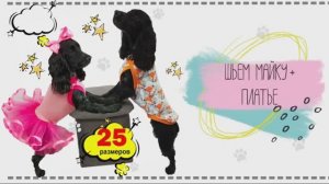 Шьем майку и платье для собак по одной выкройке