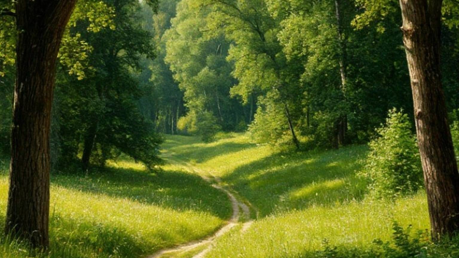 Релакс для сна