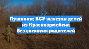 Пушилин: ВСУ вывезли детей из Красноармейска без согласия родителей