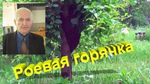 Роевая горячка: разбор от Кашковского