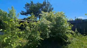 Дача с/о Самотлор.