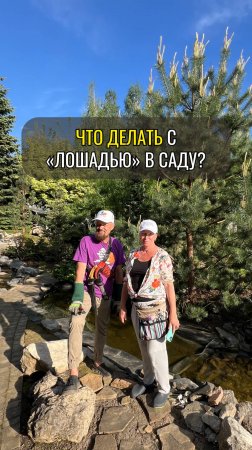 Что делать с «лошадью» в саду?