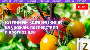 Влияние заморозков на урожай обсуждают в пресс-центре МИЦ «Известия». Прямая трансляция