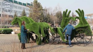 Урок 10. Город