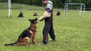 6 Отл. Оберлауф ЗАЛЬЦБУРГ +++ №33 / Кубок Беларуси 17 мая`25 M.Jovovic Моно нем.овч.