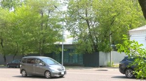 Корреспондент АОТВ узнала, какими деревьями будут заменять тополь в Благовещенске