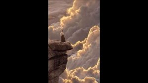 Милая моя (Моя новая песня)