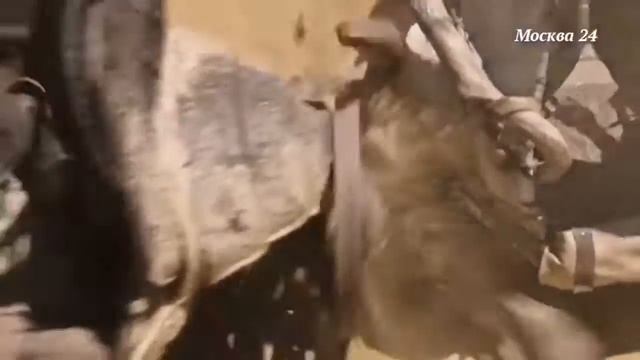 "Бен-Гур" реж.Тимур Бекмамбетов смотреть онлайн