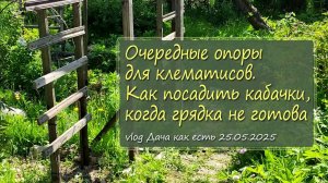 Опять клематисы – посадка и опоры. Сажаю кабачки с выкрутасами / vlog дача как есть 25.05.2025