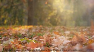 Ты НЕ ЗНАЛ, что Земля ТАКАЯ! - Sunshine-Send-Off -- Ketsa -- Ascendance