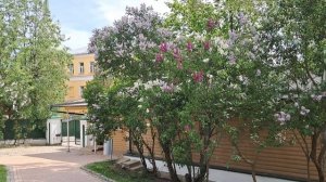 Команда "Активного долголетия" из г. Долгопрудный посетила г. Сергиев-Посад