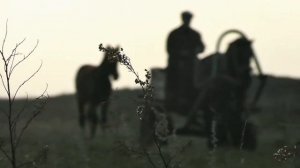 Фильм "КАМЕНЬ"