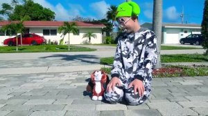 Мисс Кэйти и Мистер Макс (Miss Katy) Макс и Кэти играют с домашними животными