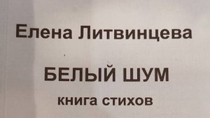 КНИГА 763 Елена Литвинцева. Белый шум (СПб.: «Геликон Плюс», 2008)