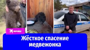 Сложили в мешок и увезли: как в Приангарье спасали медвежонка