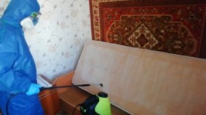 Уничтожение постельных клопов и дезинсекция от центра Чикой-Сервис