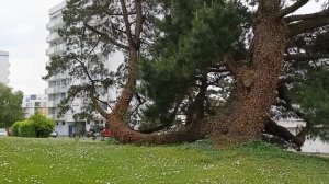 Франция, квартира в центре города 🪻