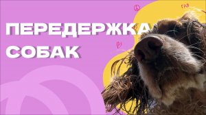 КАК БРАТЬ НА ПЕРЕДЕРЖКУ? Основные правила