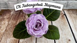 Глоксиния ЕН Лавандовый Мартини