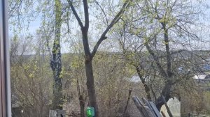 ВЛОГ/СПИЛИЛИ БЕРЁЗУ / ПРИВЕЗЛИ ЗЕМЛЮ