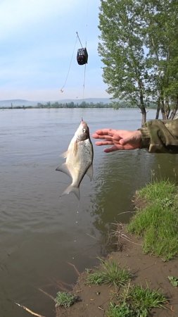 Два вечера на рыбалке(тизер)