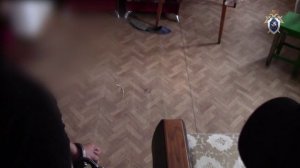 Следственные действия