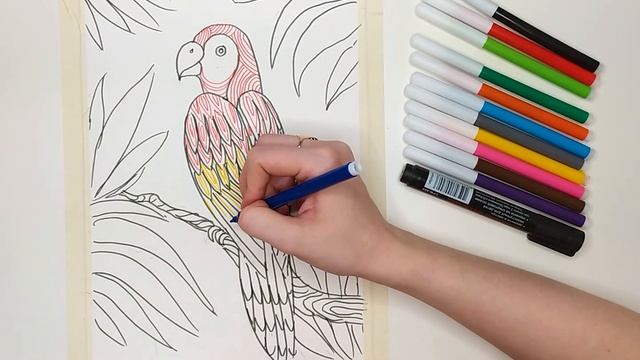 Цветная графика. Попугай. Урок для малышей смотреть онлайн