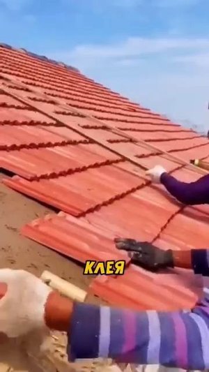 Почему тайцы строят глиняные Крыши？