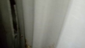 Тимур Пин Код - Сальто - Видео Голос Лунтик - Video Camera REDMI 1