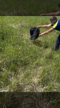 Спасательная операция по помощи утятам, провалившемся в ливневку, прошла на Минском шоссе 🐥