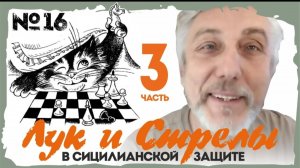 Сицилия-Б:Найдорф-3