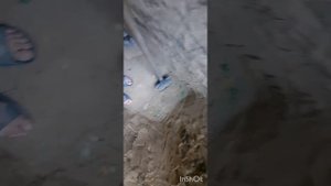 Как легко вырыть яму для туалета